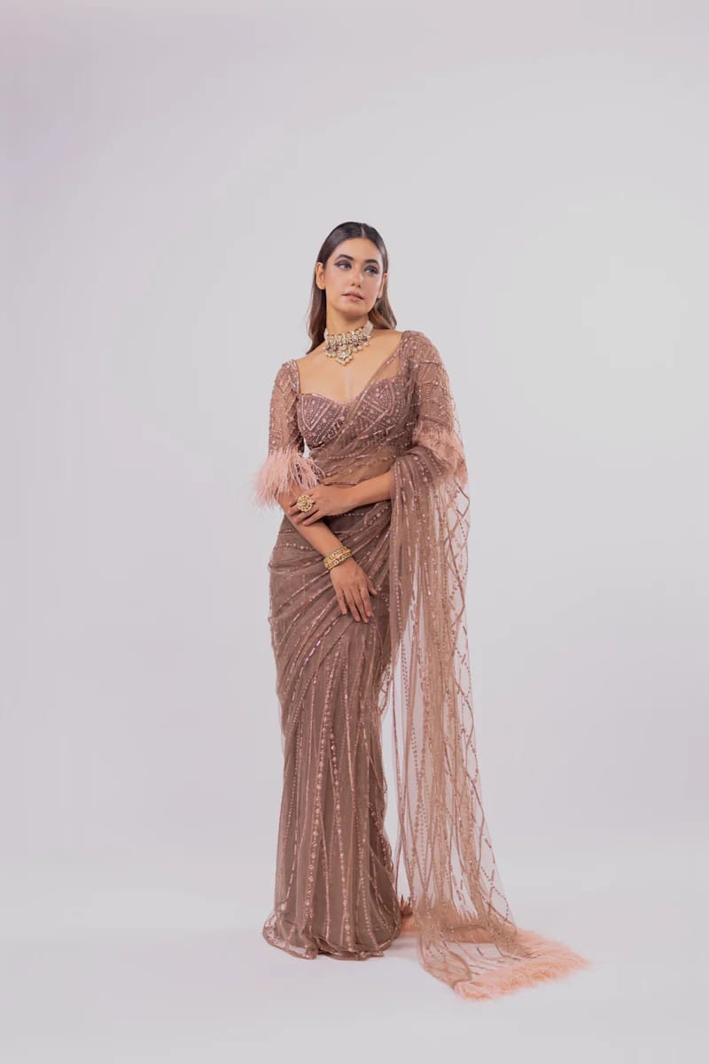 Chiku Colour sequin Work Mono Net Saree With Stitched Blouse - Yashodhara Lifestyle
