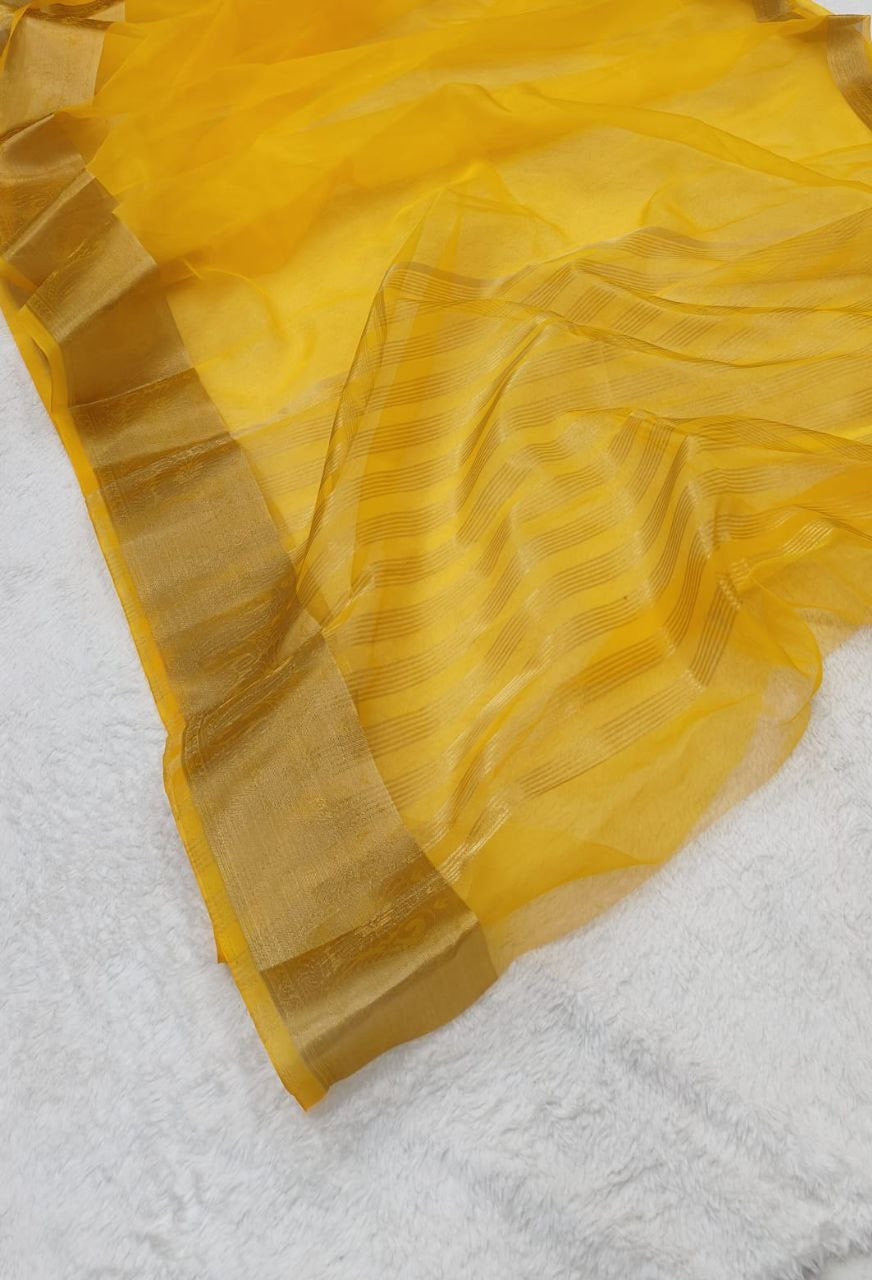 Meena organza jacquard patta saree 6 colours - Yashodhara Lifestyle